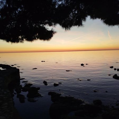 Jordanapartment Poreč Kültér fotó